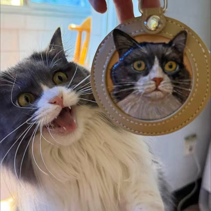 Customer holding a finished custom leather cat charm next to the cat.
